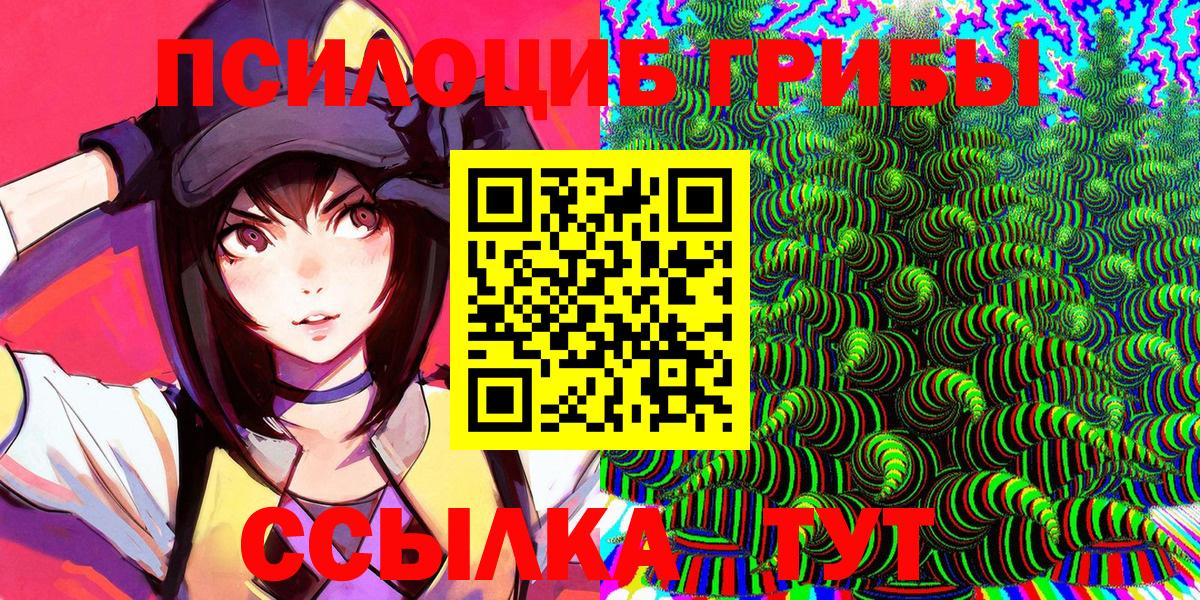 Псилоцибиновые грибы Psilocybe  Вход с VPN  Калининград 